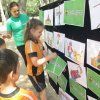3º Infantil: el tren de Riba-roja