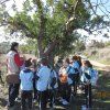 2º Primaria: Ruta de los molinos