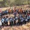 2º Primaria: Perdidos en la naturaleza