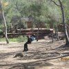 2º Primaria: Perdidos en la naturaleza