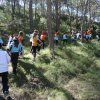2º Primaria: Perdidos en la naturaleza