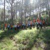 2º Primaria: Perdidos en la naturaleza
