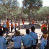 2º Primaria: Perdidos en la naturaleza