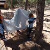 2º Primaria: Perdidos en la naturaleza