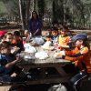 2º Primaria: Perdidos en la naturaleza