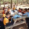 2º Primaria: Perdidos en la naturaleza