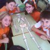 6é Primària: Esquelets