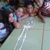 6é Primària: Esquelets