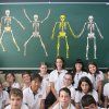 6é Primària: Esquelets