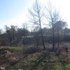 3º ESO: Reforestación. Parque Natural del Turia