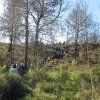 3º ESO: Reforestación. Parque Natural del Turia