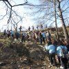 3º ESO: Reforestación. Parque Natural del Turia