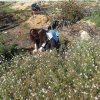 3º ESO: Reforestación. Parque Natural del Turia