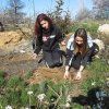 3º ESO: Reforestación. Parque Natural del Turia