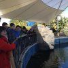 1º Bach: Oceanogràfic