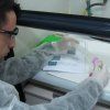 2bach_quimica12