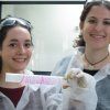 2bach_quimica16