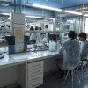 2bach_quimica18