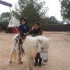 0026_003_adai921
