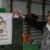Recordamos las Fallas