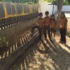 3º Pri: Granja Escuela Torreta del Marqués