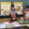 Ecosistemes