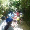 Pedaleadas de oro