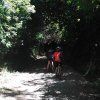Pedaleadas de oro