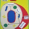 6º Primaria: Cèl·lules, cèl·lules, cèl·lules 