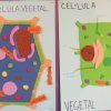 6º Primaria: Cèl·lules, cèl·lules, cèl·lules 