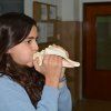 1º ESO: Exposición de instrumentos