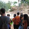 Visita al Bioparc