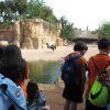 Visita al Bioparc