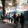 Visita al Bioparc