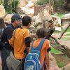 Visita al Bioparc