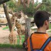 Visita al Bioparc