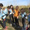 Repoblación forestal del parque del río Turia