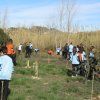 Repoblación forestal del parque del río Turia