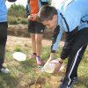 Repoblación forestal del parque del río Turia