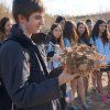 Repoblación forestal del parque del río Turia