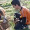 Repoblación forestal del parque del río Turia