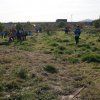 Repoblación forestal del parque del río Turia