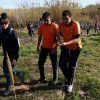 Repoblación forestal del parque del río Turia