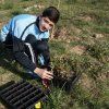 Repoblación forestal del parque del río Turia