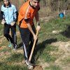 Repoblación forestal del parque del río Turia