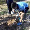 Repoblación forestal del parque del río Turia