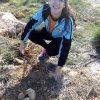 Repoblación forestal del parque del río Turia