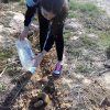 Repoblación forestal del parque del río Turia