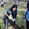 Repoblación forestal del parque del río Turia
