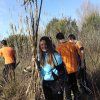 Repoblación forestal del parque del río Turia